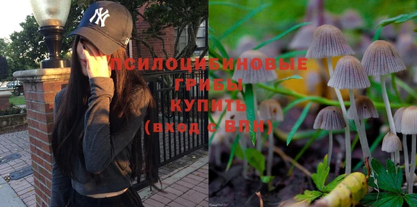 ALPHA-PVP Алексин