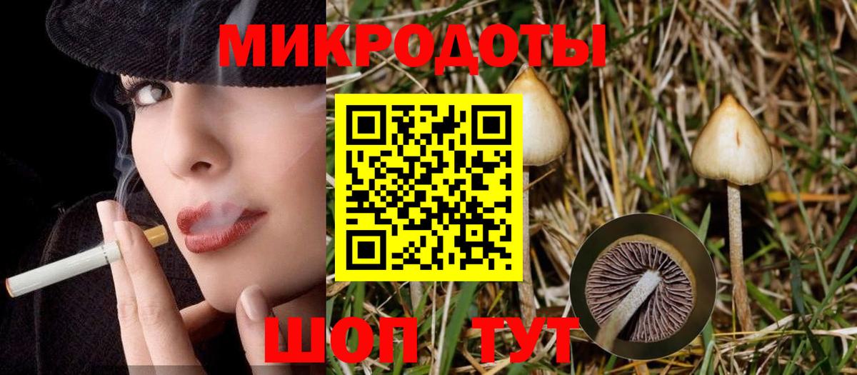 Галлюциногенные грибы Psilocybe Карпинск