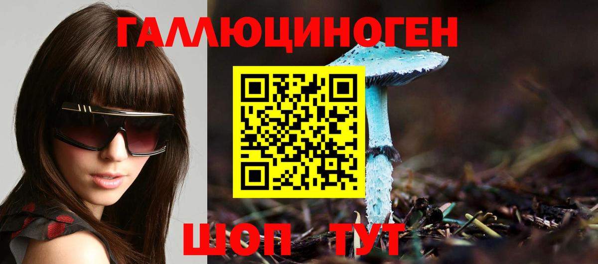 купить наркотик  Вход с VPN  Псилоцибиновые грибы мицелий  Карпинск  Галлюциногенные грибы прущие грибы 